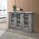 Shoe Cabinet Transparent Door