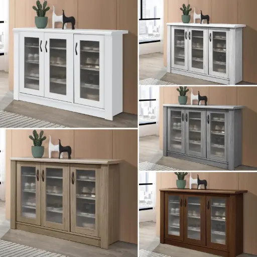 Shoe Cabinet Transparent Door